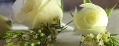 Business 8 image BELLA FINESSE WEDDING FLOWERS & EVENT DECOR West Rand Florist in Roodepoort GP