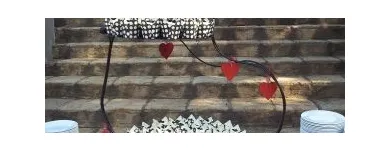 Business 10 image BELLA FINESSE WEDDING FLOWERS & EVENT DECOR West Rand Florist in Roodepoort GP