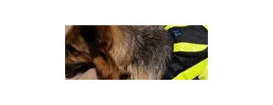Business 4 image BETATRAC TELEMATIC SOLUTIONS Security Services in Randburg GP