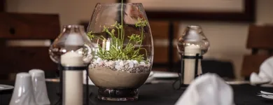 Business 1 image CUISINE AFRIQUE Wining & Dining in Boksburg GP