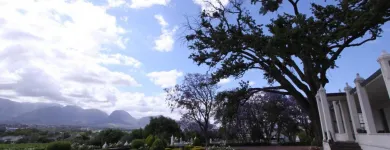 Maatskappy 5 beeld D'OLYFBOOM Juice Bar in Paarl WC