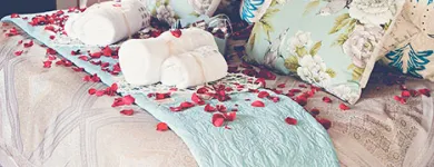 Business 4 image DE STALLEN Tourist Accomodation in Bloemfontein FS