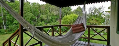 Business 1 image FOREST EDGE - NATURE LOVERS' RETREAT Things To Do in Knysna WC