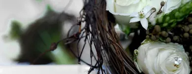 Business 4 image FSTOP STUDIOS Wedding Photography in Nelspruit MP