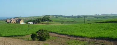 Maatskappy 4 beeld GATE AND FENCE Steel Fencing in Durban KZN