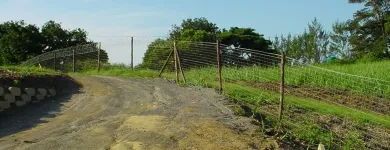 Maatskappy 5 beeld GATE AND FENCE Steel Fencing in Durban KZN