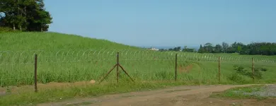 Maatskappy 11 beeld GATE AND FENCE Steel Fencing in Durban KZN