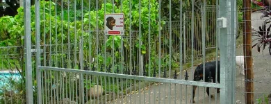 Maatskappy 22 beeld GATE AND FENCE Steel Fencing in Durban KZN