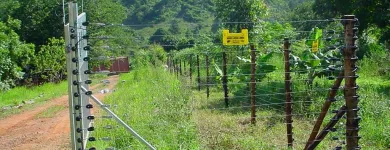 Maatskappy 25 beeld GATE AND FENCE Steel Fencing in Durban KZN