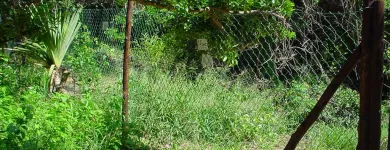 Maatskappy 40 beeld GATE AND FENCE Steel Fencing in Durban KZN