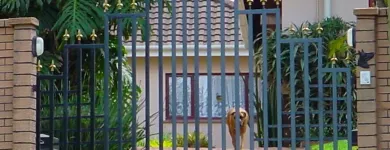 Maatskappy 59 beeld GATE AND FENCE Steel Fencing in Durban KZN
