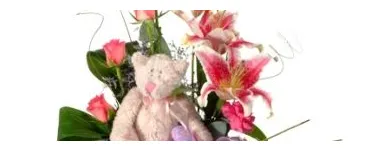 Business 5 image INMOTION FLOWERS Valentines Day in Durban KZN