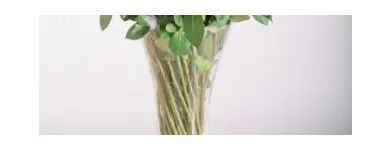 Business 6 image INMOTION FLOWERS Valentines Day in Durban KZN