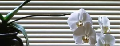 Maatskappy 3 beeld JSBLINDS Suppliers in Bellville WC