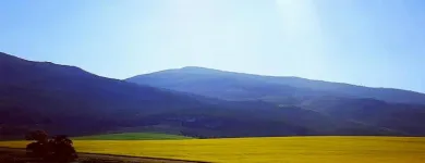 Business 2 image KELKIEWYN GUESTHOUSE CALEDON Self Catering Accommodation in Caledon WC