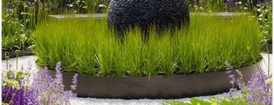 Maatskappy 3 beeld LANDSCAPER IN PRETORIA Lawn in Pretoria GP