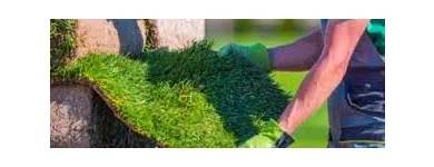 Maatskappy 1 beeld LAWNKING GARDENS® | TREE FELLING & INSTANT LAWN RANDBURG Tree Felling Or Stump Removal in Randburg GP
