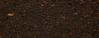 Maatskappy 2 beeld LAWNKING GARDENS® | TREE FELLING & INSTANT LAWN RANDBURG Tree Felling Or Stump Removal in Randburg GP