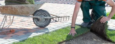 Maatskappy 8 beeld LAWNKING GARDENS® | TREE FELLING & INSTANT LAWN RANDBURG Tree Felling Or Stump Removal in Randburg GP