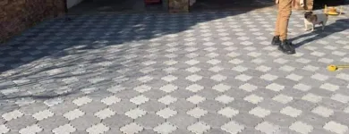 Maatskappy 9 beeld LAWNKING GARDENS® | TREE FELLING & INSTANT LAWN RANDBURG Tree Felling Or Stump Removal in Randburg GP