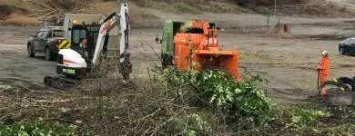 Maatskappy 18 beeld LAWNKING GARDENS® | TREE FELLING & INSTANT LAWN RANDBURG Tree Felling Or Stump Removal in Randburg GP