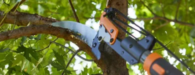 Maatskappy 19 beeld LAWNKING GARDENS® | TREE FELLING & INSTANT LAWN RANDBURG Tree Felling Or Stump Removal in Randburg GP