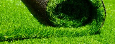 Maatskappy 21 beeld LAWNKING GARDENS® | TREE FELLING & INSTANT LAWN RANDBURG Tree Felling Or Stump Removal in Randburg GP