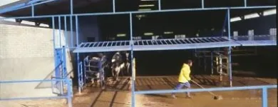 Business 9 image LURIWARE (PTY) LTD CONSULTING AGRICULTURAL ENGINEERS Livestock Housing Designers in Pretoria GP