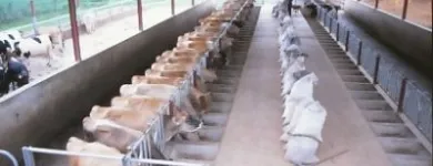 Business 14 image LURIWARE (PTY) LTD CONSULTING AGRICULTURAL ENGINEERS Livestock Housing Designers in Pretoria GP