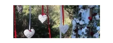 Maatskappy 5 beeld MACNUT FARM WEDDING & FUNCTION VENUE Weddings in Durban KZN