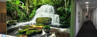 Business 5 image PEPE DESIGNS X-Frames in Johannesburg GP