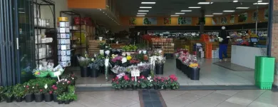 Business 11 image PEPE DESIGNS X-Frames in Johannesburg GP