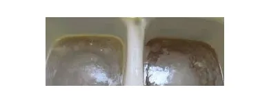 Business 5 image PLUMB SMART JOHANNESBURG Unblocking Drains in Edenvale GP
