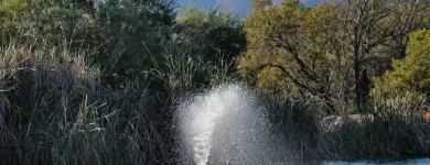 Business 23 image PROTEA BY MARRIOTT ZEBULA LODGE Za Hotel in Limpopo ZAF
