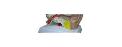 Business 7 image REBOCHEM Ph Meters in Mokopane LP