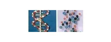 Business 38 image REBOCHEM Ph Meters in Mokopane LP