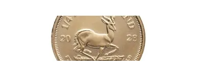 Maatskappy 4 beeld SA KRUGERRANDS Investments in Cape Town WC