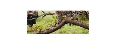 Maatskappy 5 beeld SABI SANDS LODGES RESERVATIONS Safaris And Operators in Cape Town WC