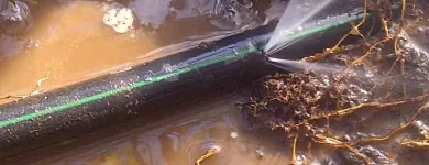 Business 1 image TOP'S KOR PTY LTD Toilets in Pretoria GP