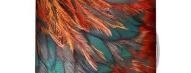 Maatskappy 1 beeld VELOSOCK Suitcases in Cape Town WC