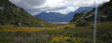 Business 1 image WARYLA SHUTTLE SERVICES Taxis in Simons Town WC
