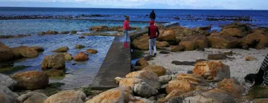 Business 10 image WARYLA SHUTTLE SERVICES Taxis in Simons Town WC