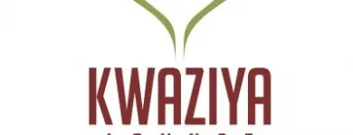 Business 2 image YEBOWEB Website Design in Johannesburg GP