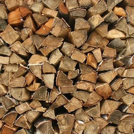 Maatskappy 2 beeld FIRE AND BRAAI