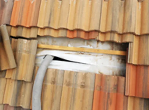 Business 4 image THERMGUARD