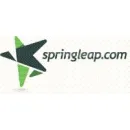 SPRINGLEAP Tee in Cape Town WC