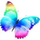 BUTTERFLY INFANT CARE Nannies in Cape Town WC