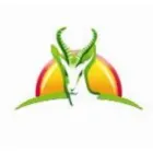 IMPUNZI CAPE TOWN AIRPORT SHUTTLE